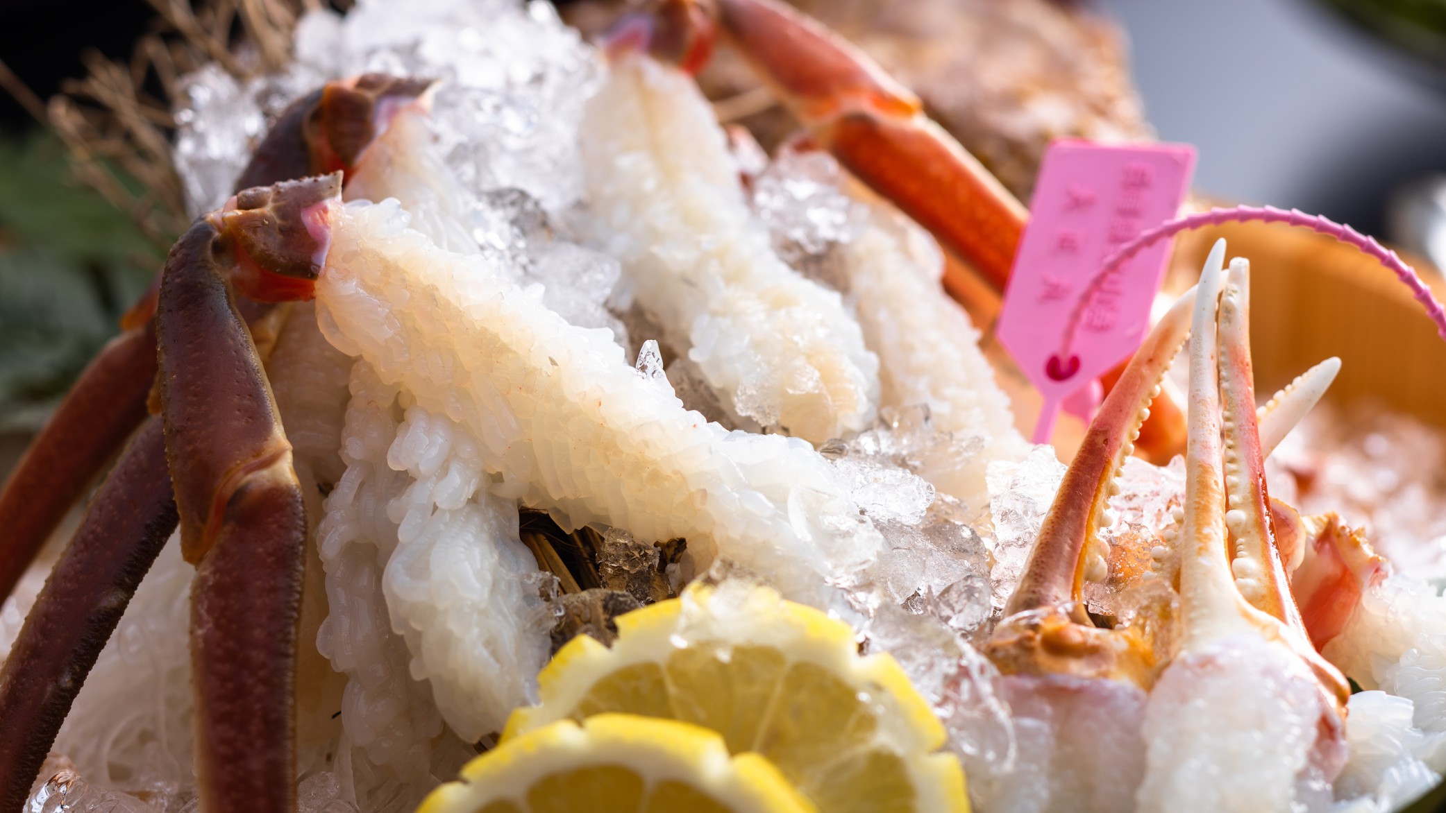 【松葉蟹の蟹刺し】新鮮だからこそできる「花咲く蟹刺し」は、蟹の甘みが口の中で広がります。