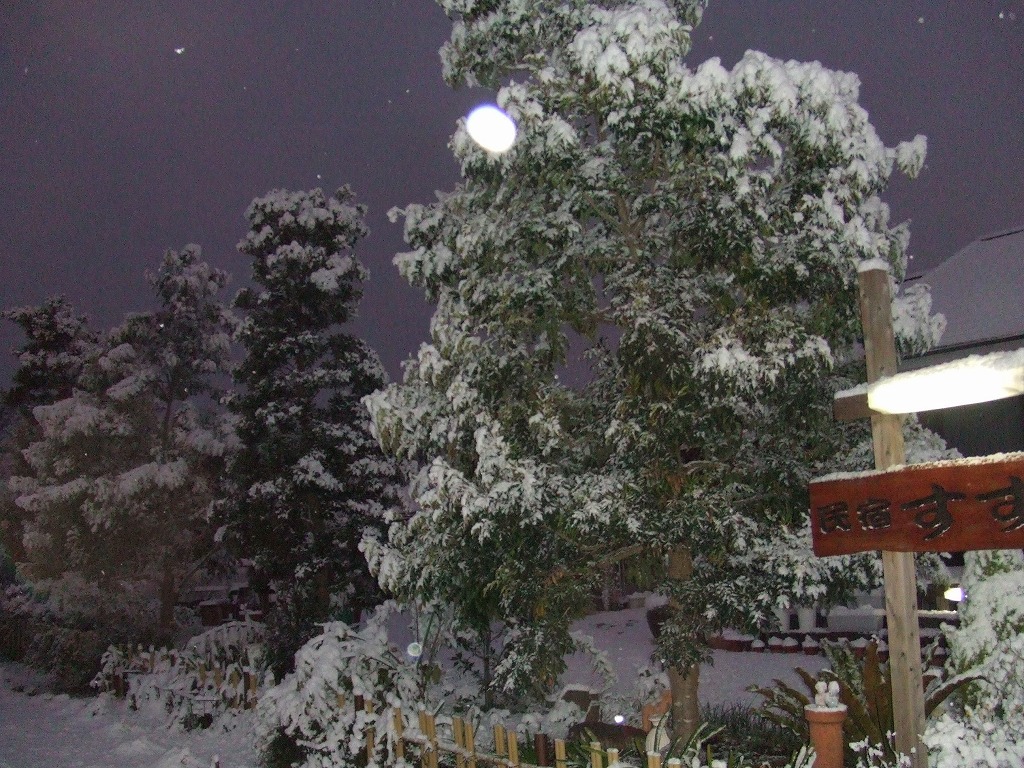 雪景色１南国鹿児島にも雪が降りました