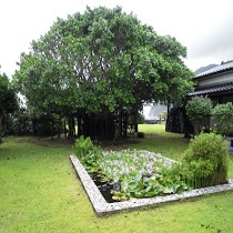 guest house sokodoso