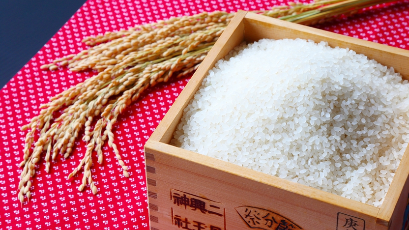 *当館の白ご飯は低農薬の自家製米♪安心・美味しいご飯が当館の魅力です