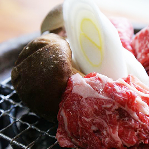 Totsugawa Onsen Seikyo no Yado Sansui Image 3, Totsukawa, Japan