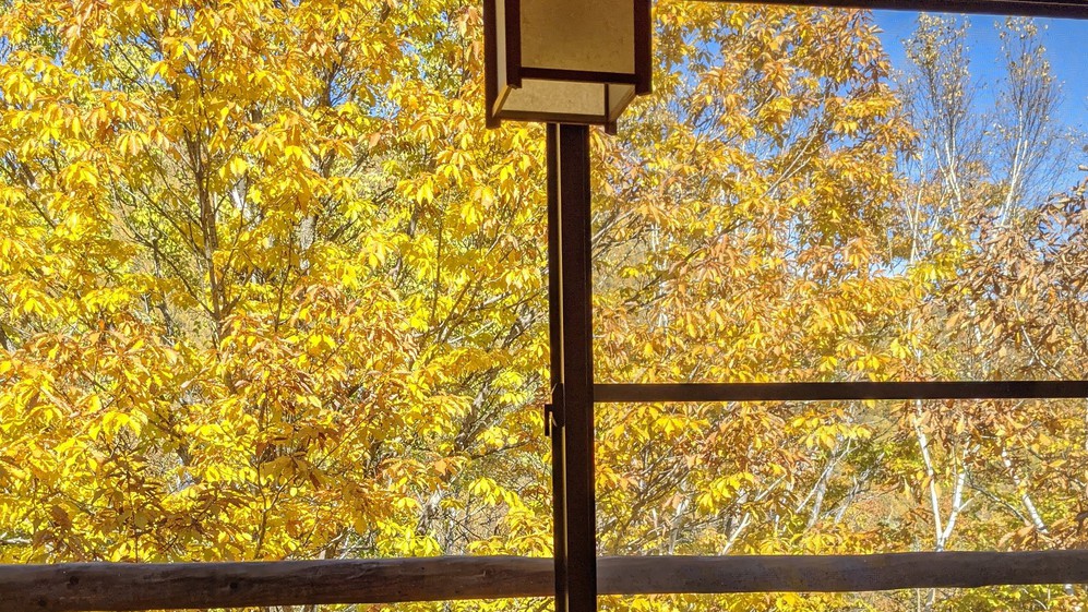 秋には窓辺から紅葉もお愉しみいただけます。