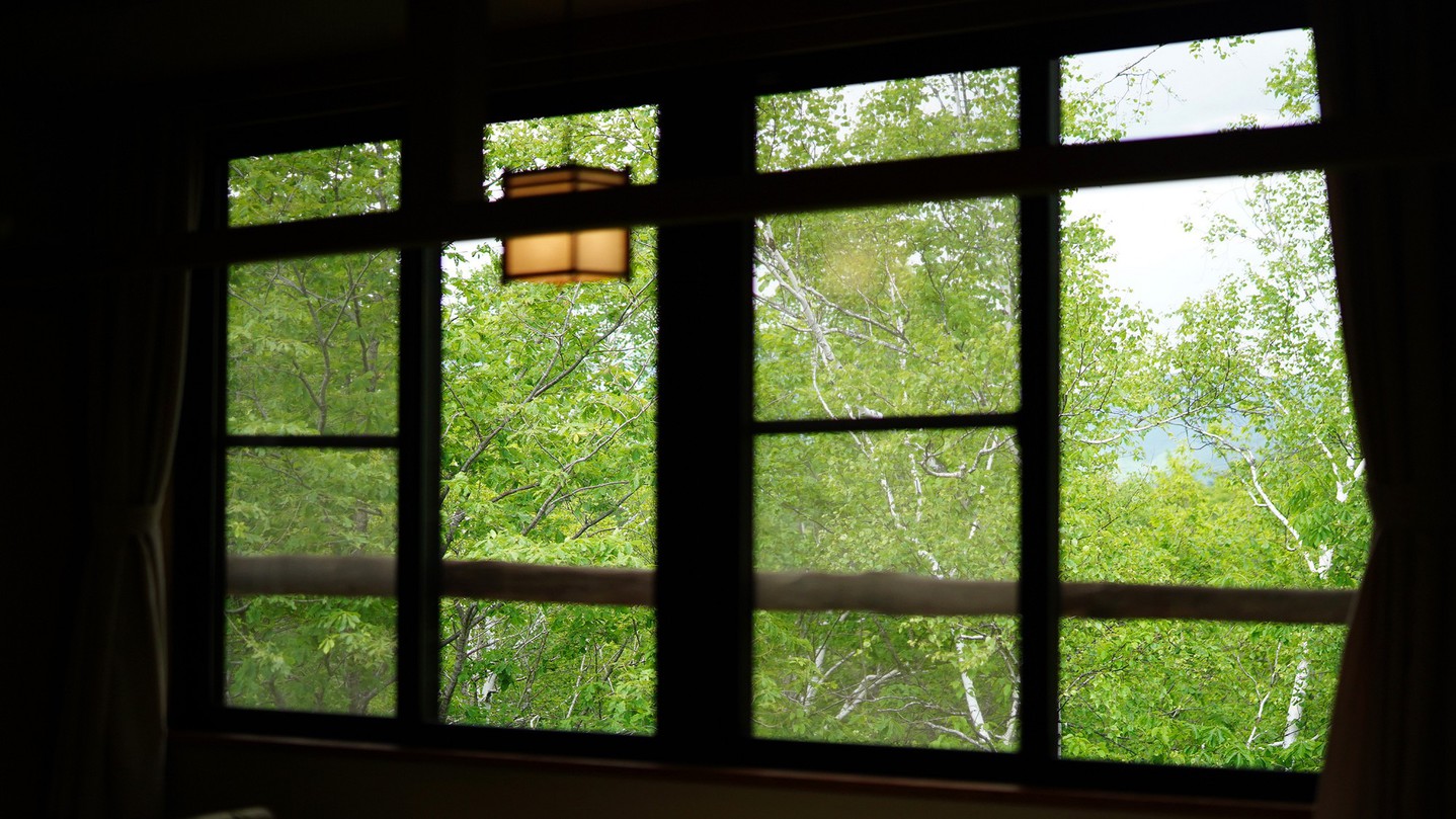 新館和室から望む窓の景色。目の前に白樺の林が広がります。
