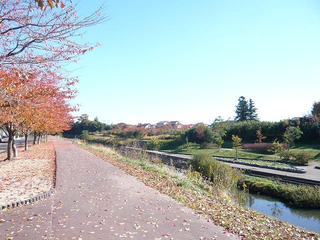 逢瀬川河川敷