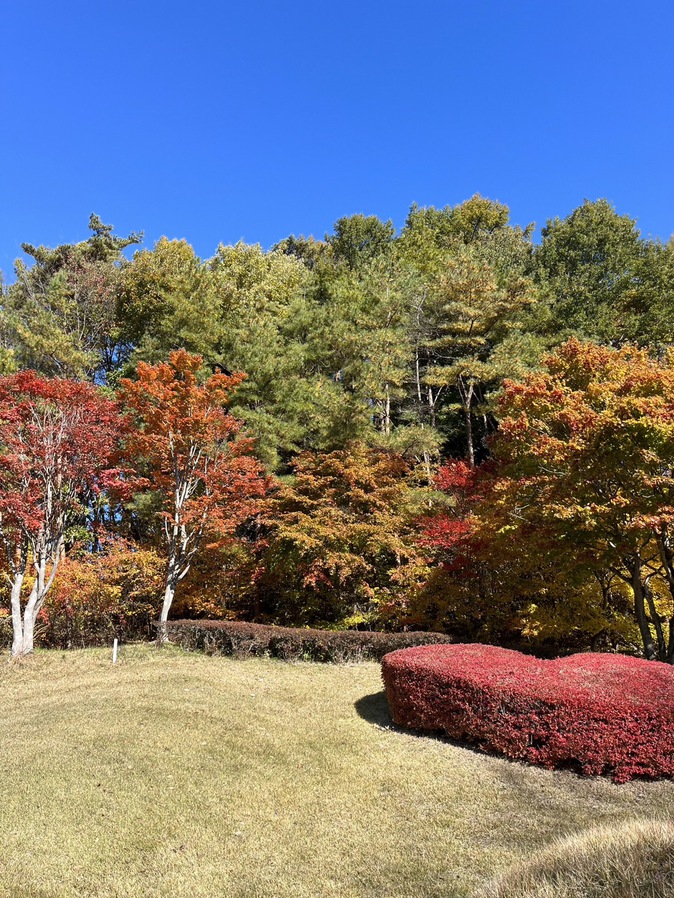 初穂カントリークラブ紅葉