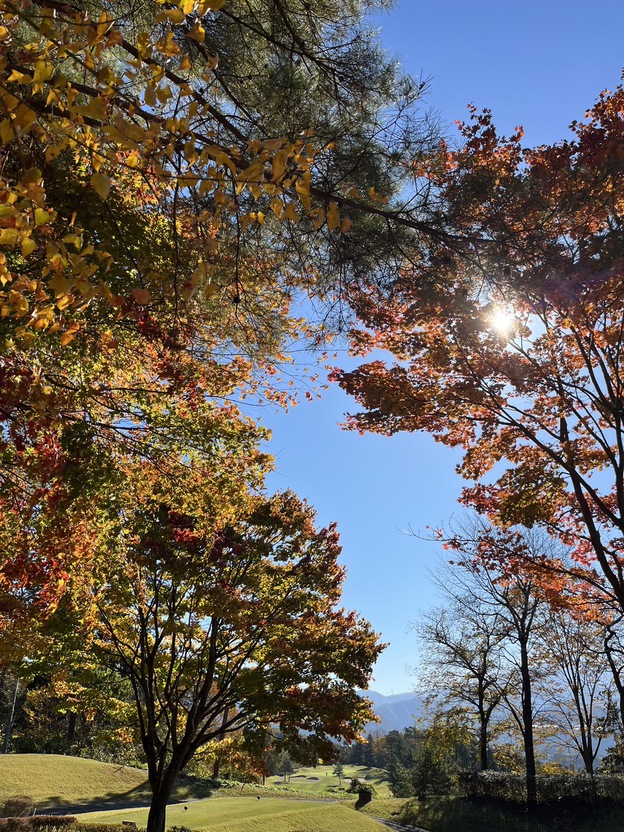 初穂カントリークラブもみじのトンネル