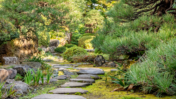 *【日本庭園】館内の中心に広がる日本庭園は四季折々の風景が楽しめます