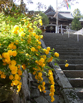 西国２８番札所成相寺