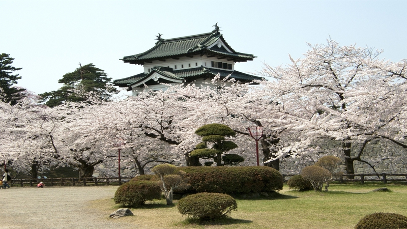 弘前城公園さくらまつり