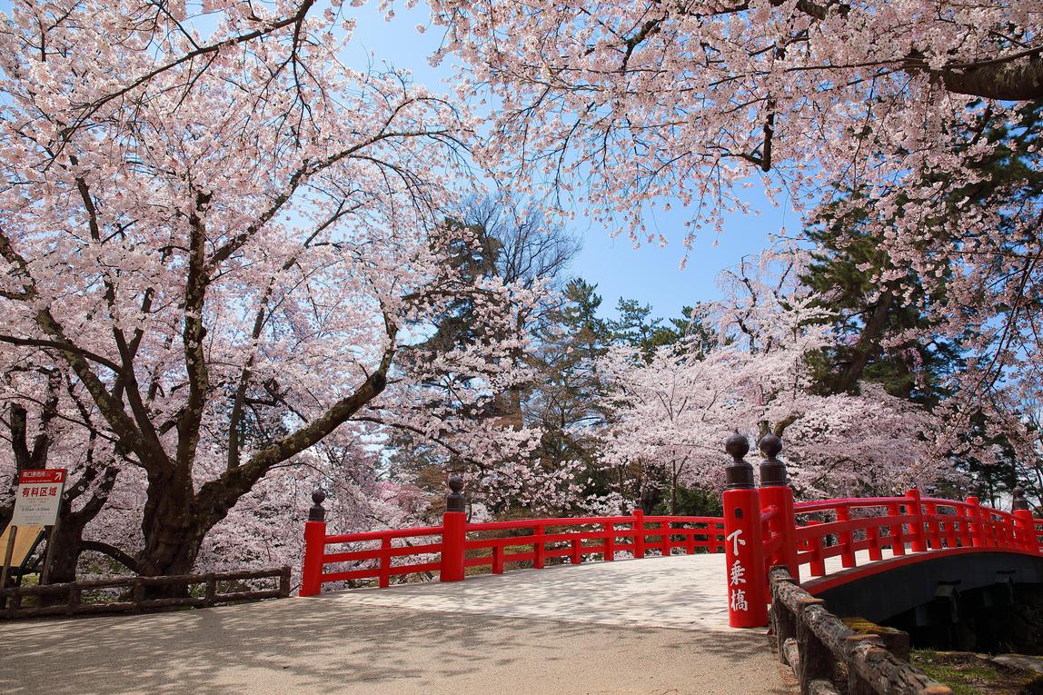 【弘前市観光名所】弘前公園(桜祭り)