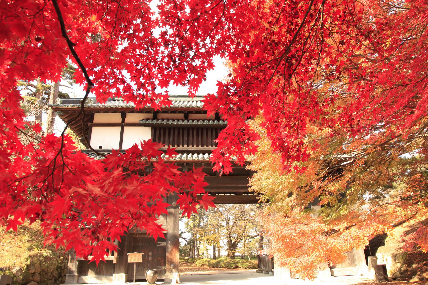 【弘前市観光名所】弘前公園紅葉