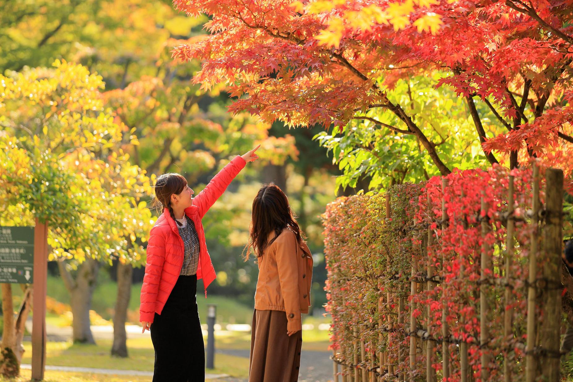 【弘前市観光名所】】藤田記念公園