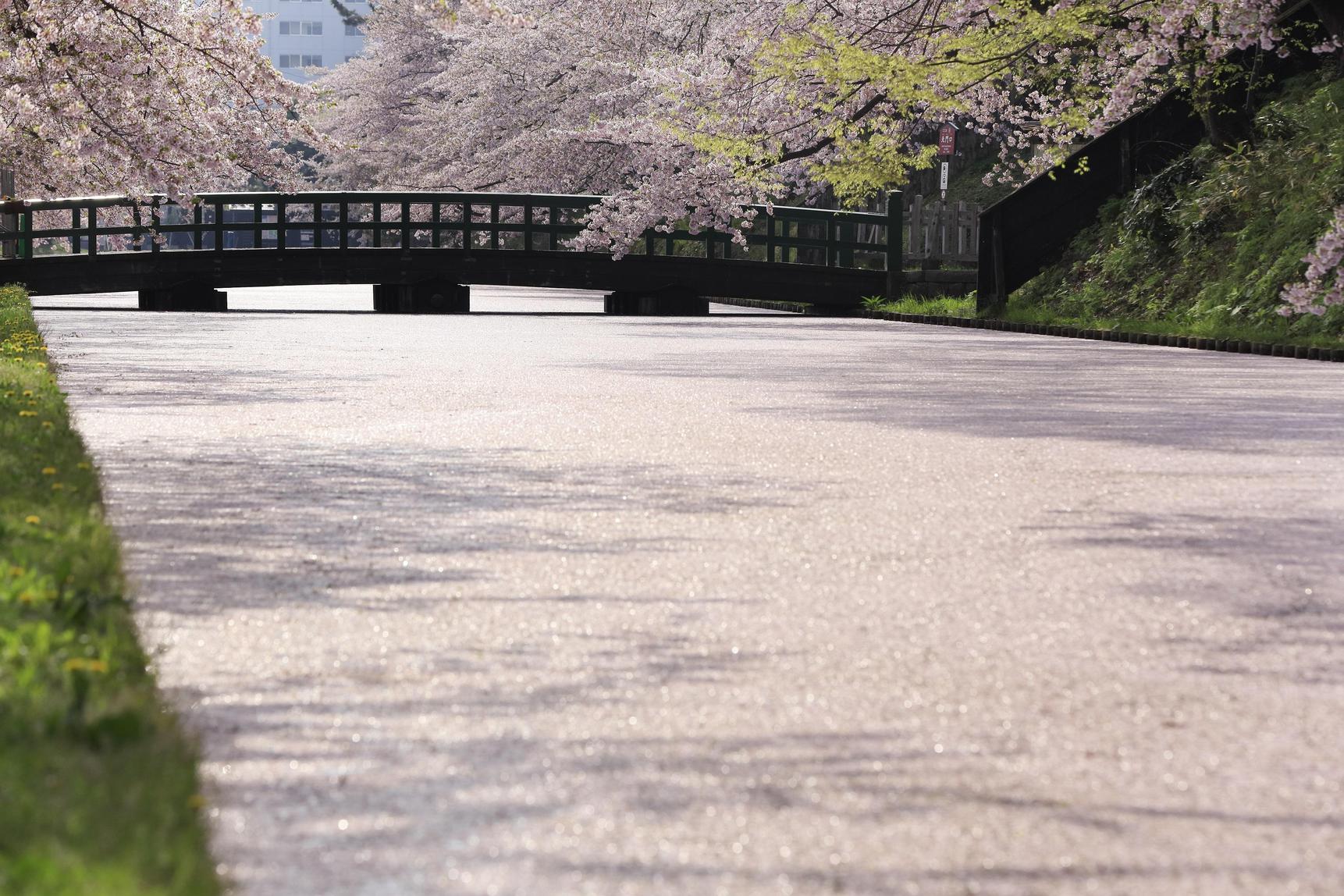 【弘前市観光名所】弘前公園(桜祭り)