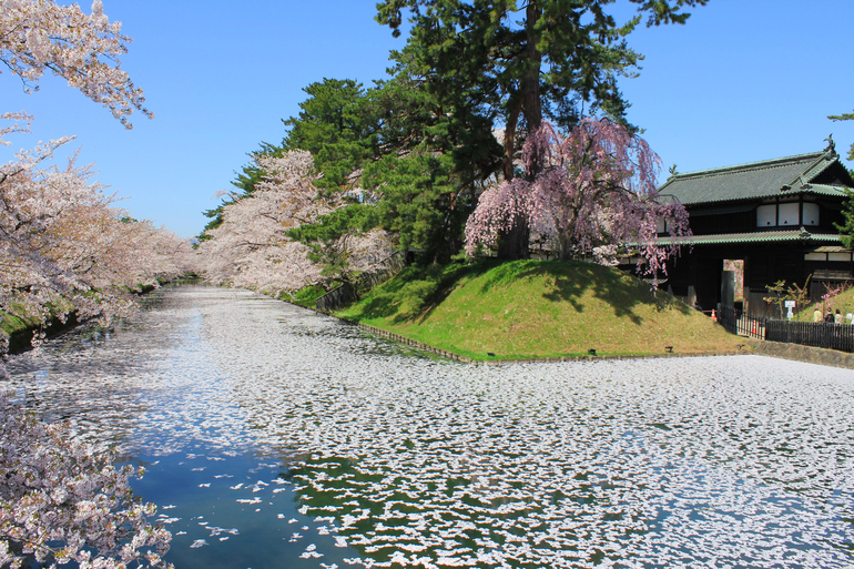 【弘前市観光名所】弘前公園(桜祭り)