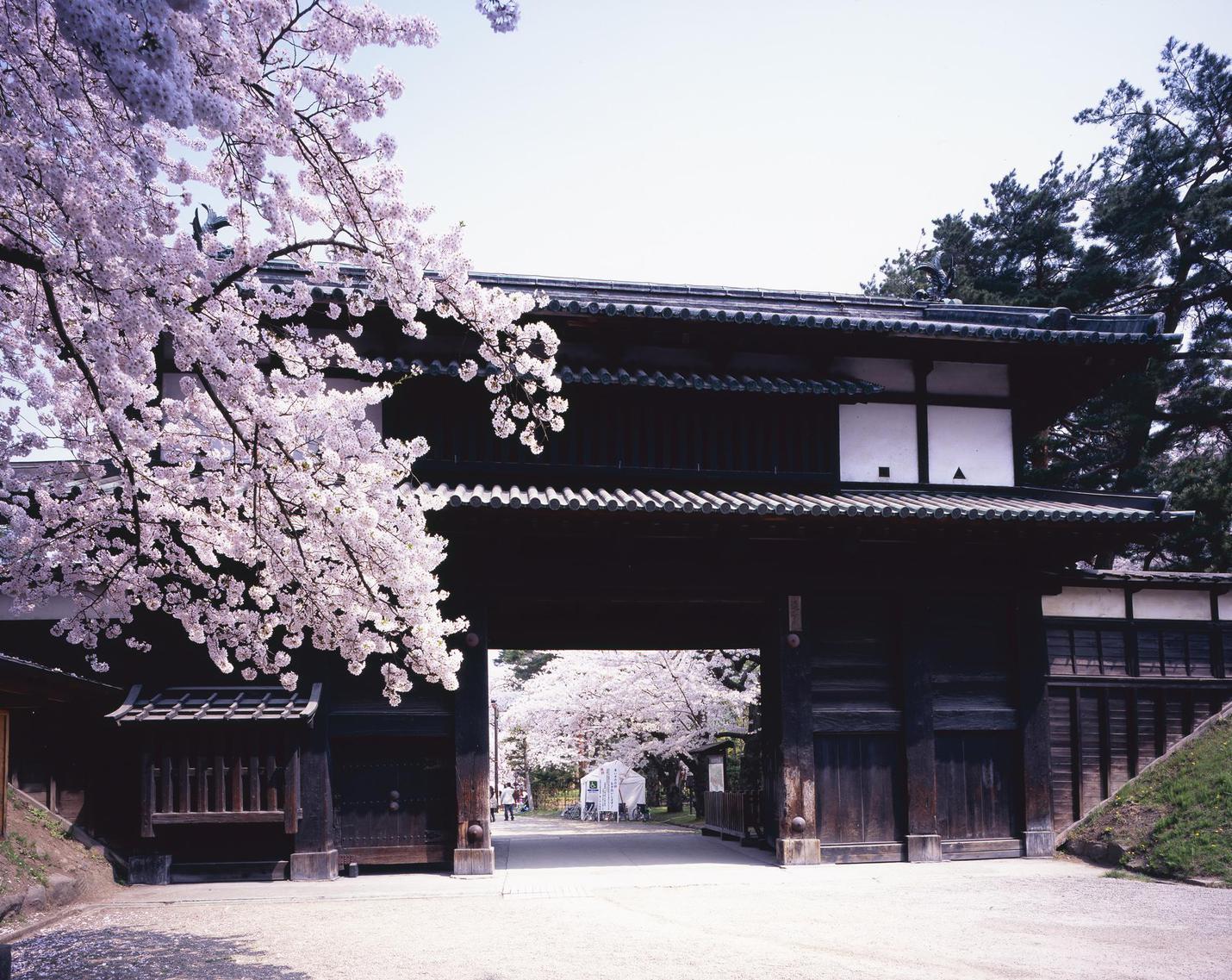 【弘前市観光名所】弘前公園(桜祭り)