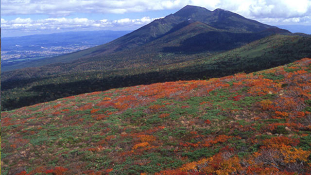 紅葉のピークを迎えた三ツ石山は、まるで真っ赤に広がるじゅうたんのよう…;♪