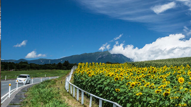 岩手山夏