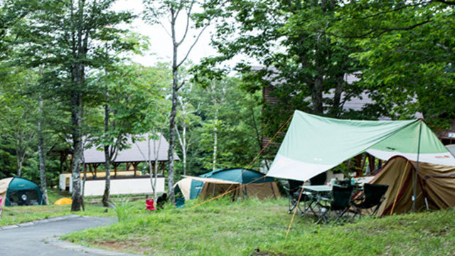 木々に囲まれ静かな林間サイト（網張温泉キャンプ場）木漏れ日が揺れる静かな区割りされているサイトです