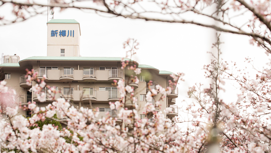 *【外観・春】春は桜の木に囲まれた当館の様々な場所からお花見をお楽しみいただけます。