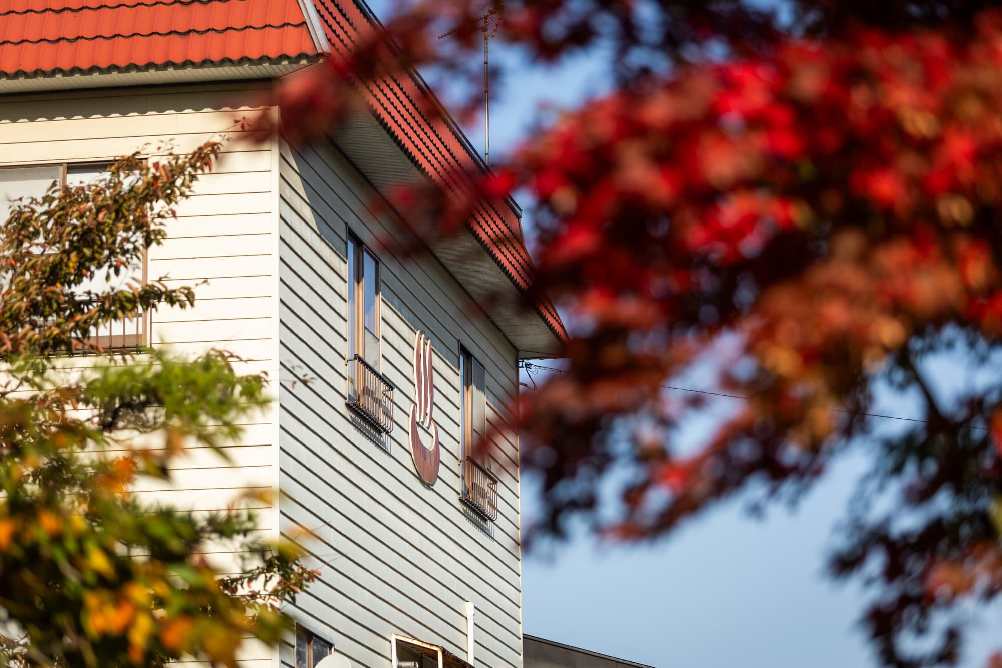 外観【秋】