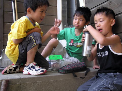 子供達の夏：友達と遊ぶ毎日