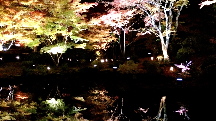 【円通院の紅葉ライトアップ】松島