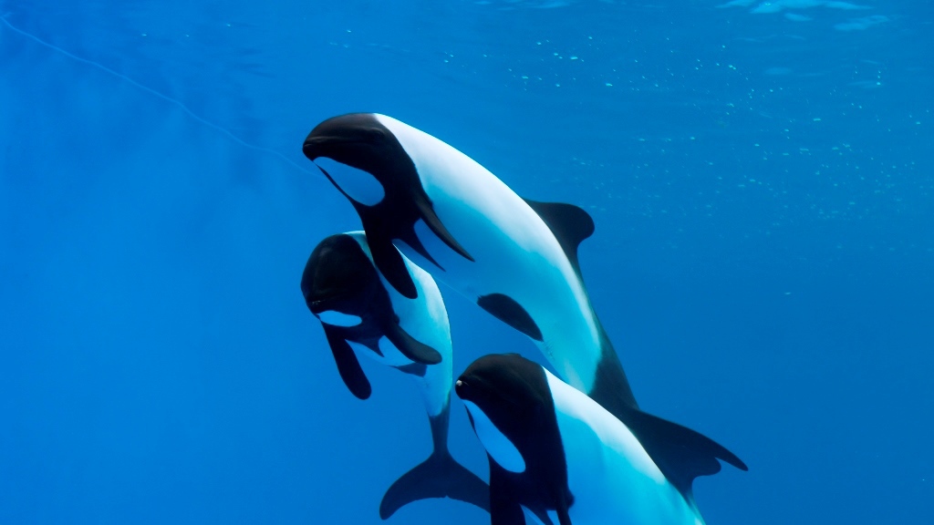 【仙台うみの杜水族館】