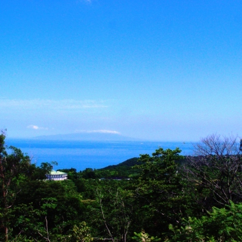 海側客室からの景観（一例）