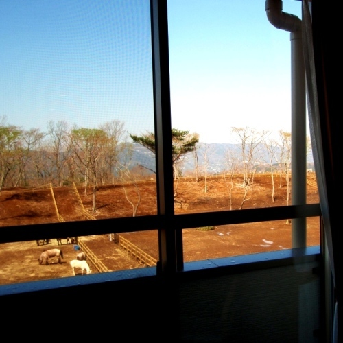 山側客室からの景観（一例）