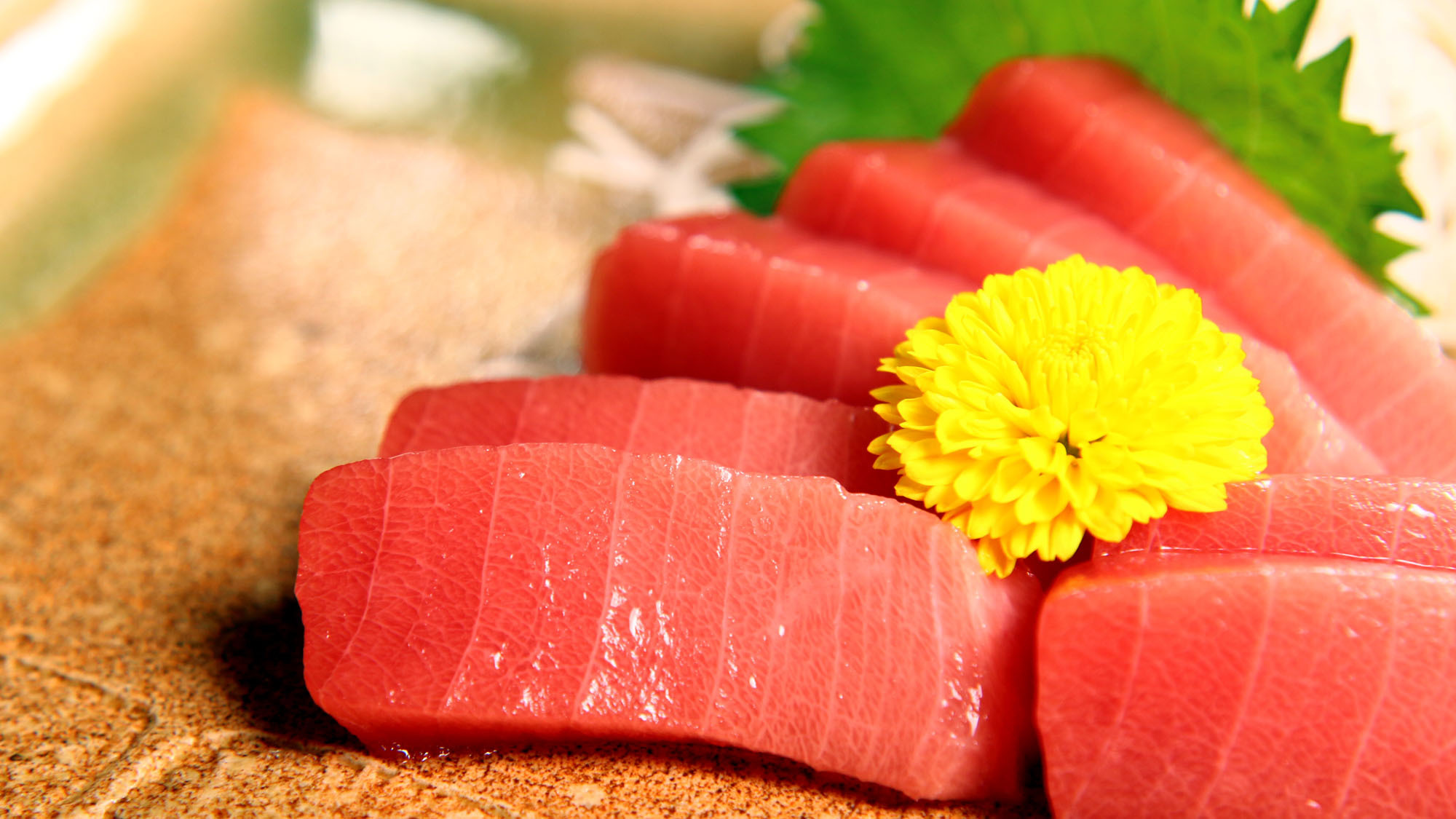 お食事伊勢まぐろプラン（中トロお刺身）*