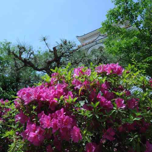 Business Inn Fukuyama Image 4, Onomichi, Japan