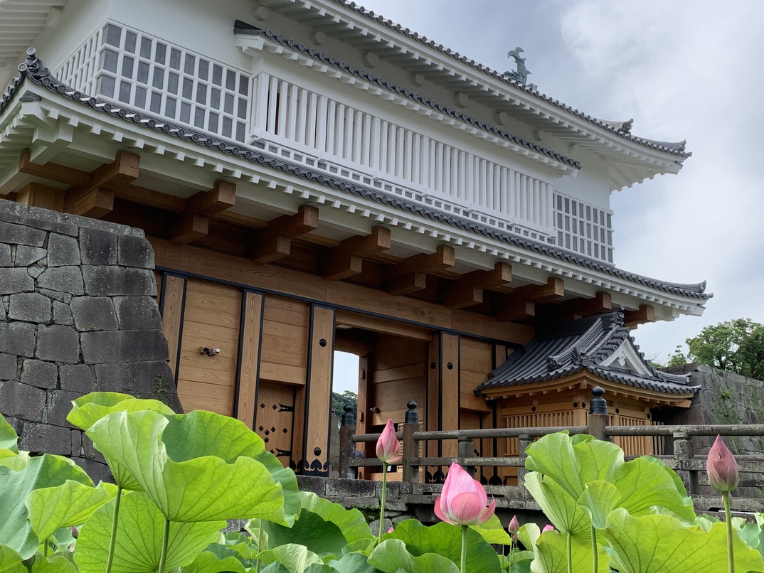 鶴丸城御楼門と蓮