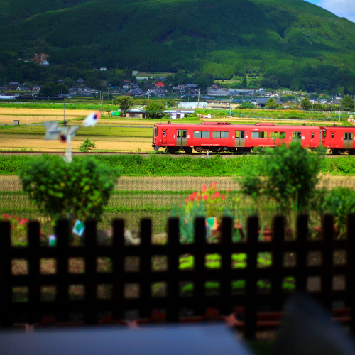 庭の風景