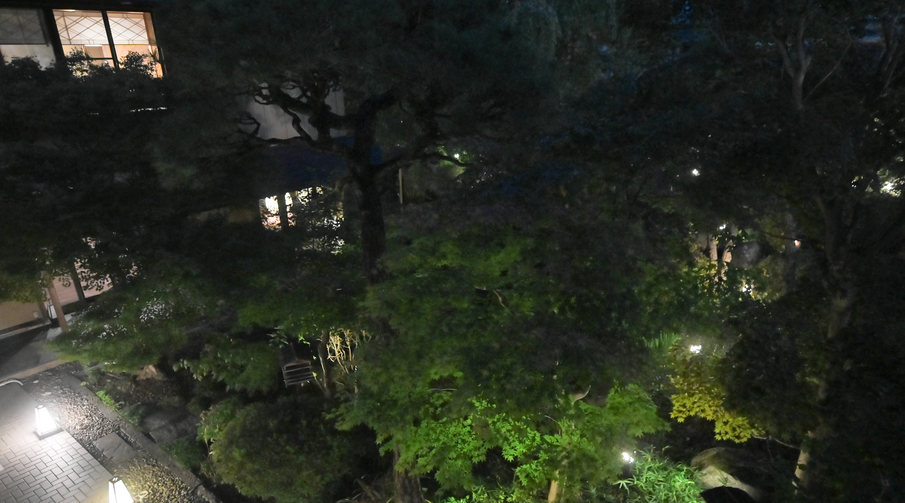 当館の日本庭園。夕刻〜夜はライトアップされます