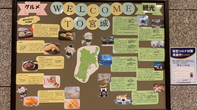 周辺観光案内