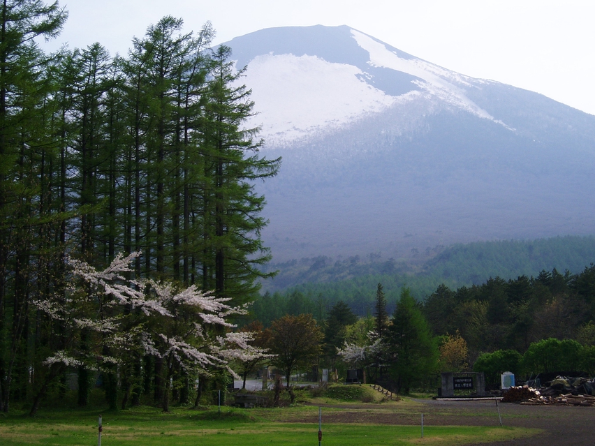 岩手山と桜