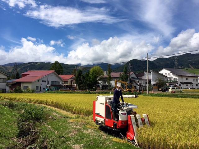 自家製のお米
