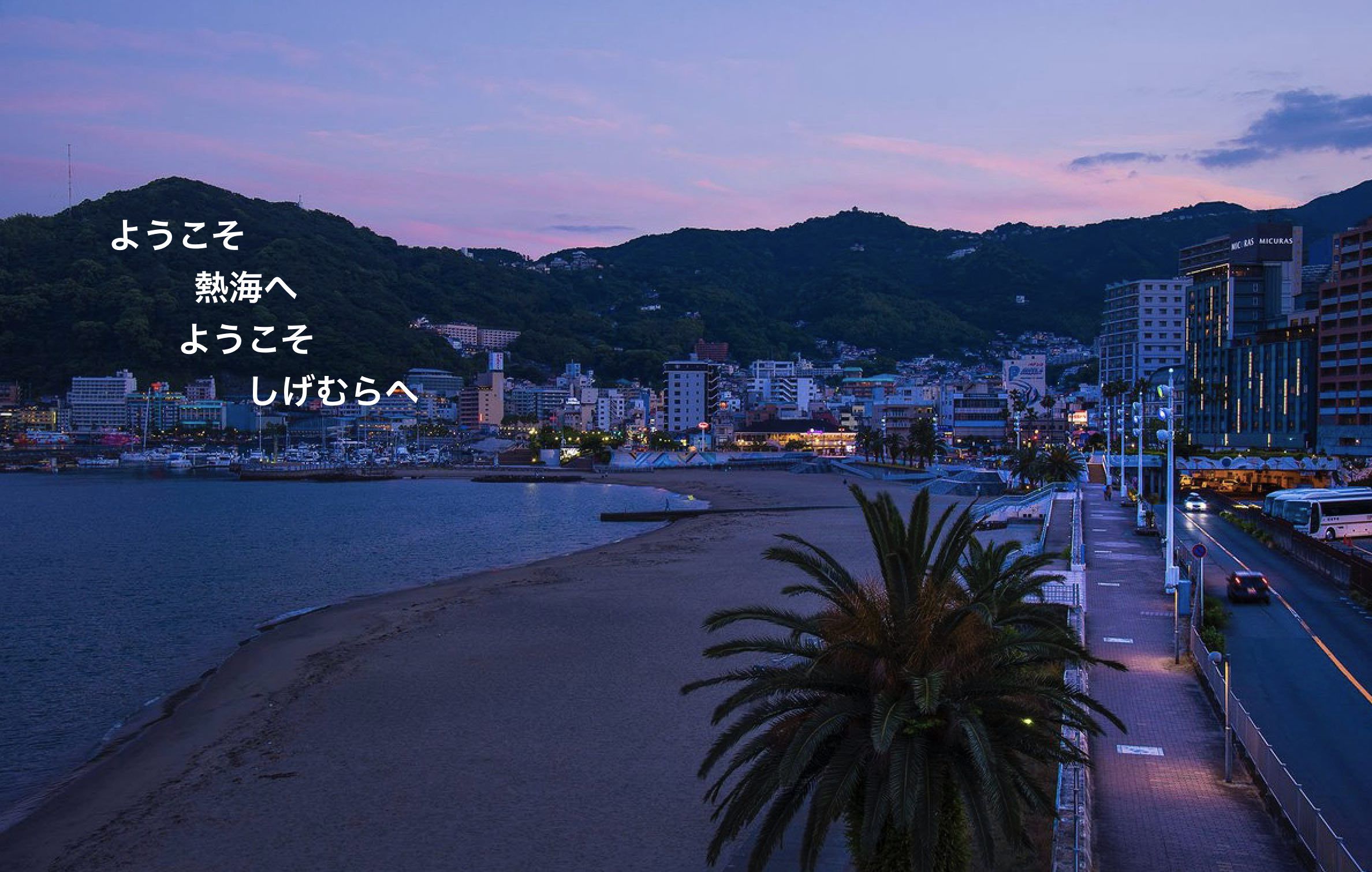 民宿旅館 しげむら 静岡 ホテル 宿泊予約 楽天トラベル