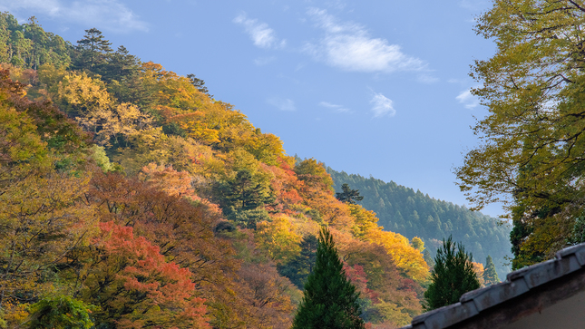 *【和室・まつ】秋の客室からの風景