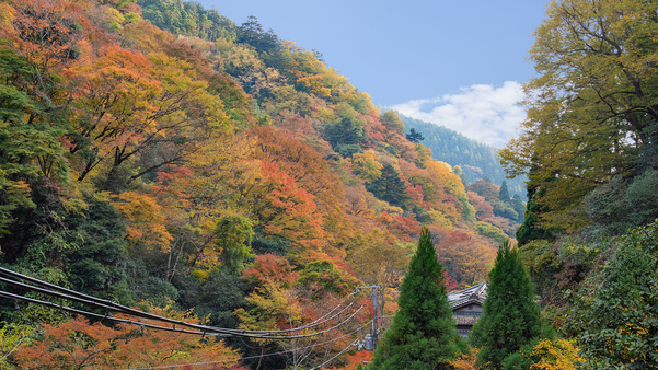 *【和室・まつ】秋の客室からの風景