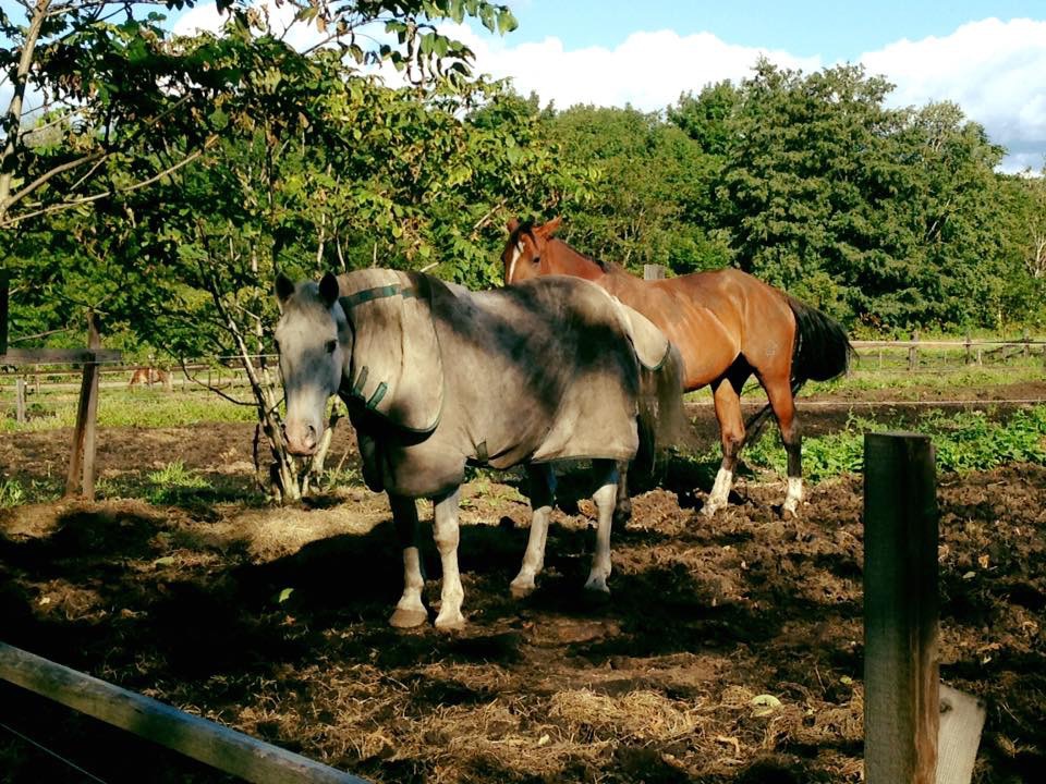 Hachimantai Minami Onsen Asahi no Yu Image 5, Hachimantai, Japan