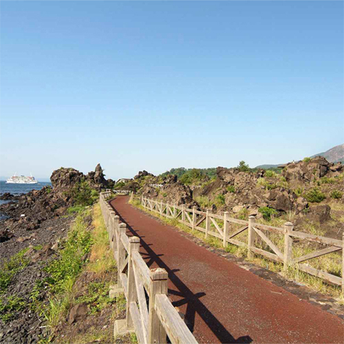 遊歩100選の選ばれた「溶岩なぎさ遊歩道」
