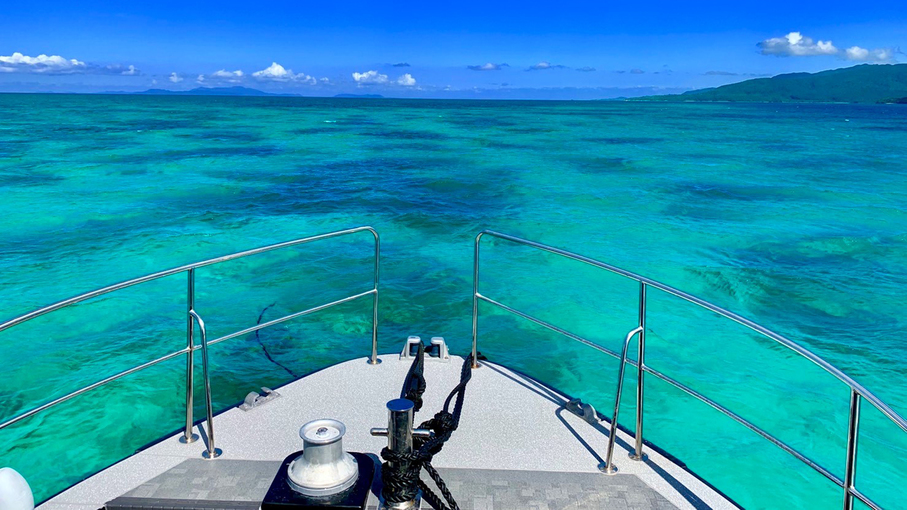 *エメラルドグリーンの海で色鮮やかなお魚を観察♪