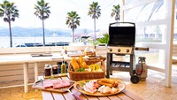 ԂŃChBBQAJX^COōɁIT[CXe[Lv