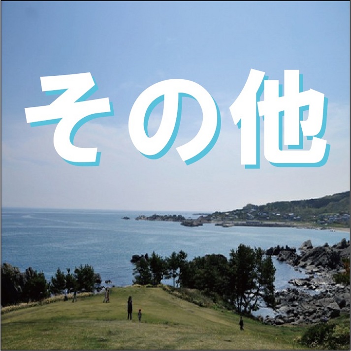 ＊その他＊