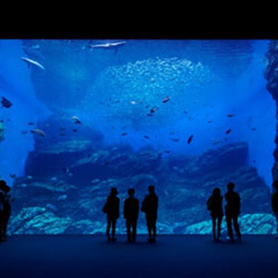 仙台うみの杜水族館〜チケット付きプランをご用意しております