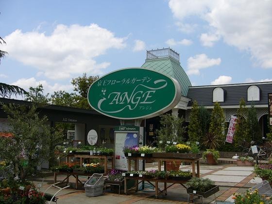 京王フローラルガーデン‘;アンジェ’;