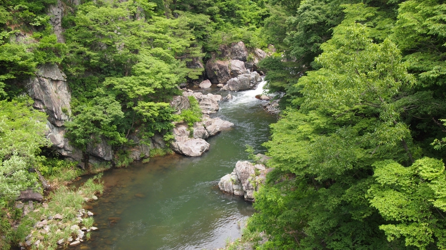 渓流山梨には美しいところが沢山