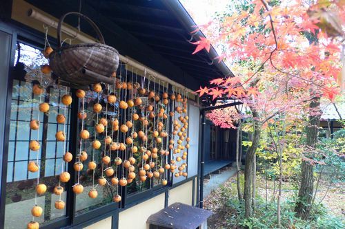 紅葉と干し柿①