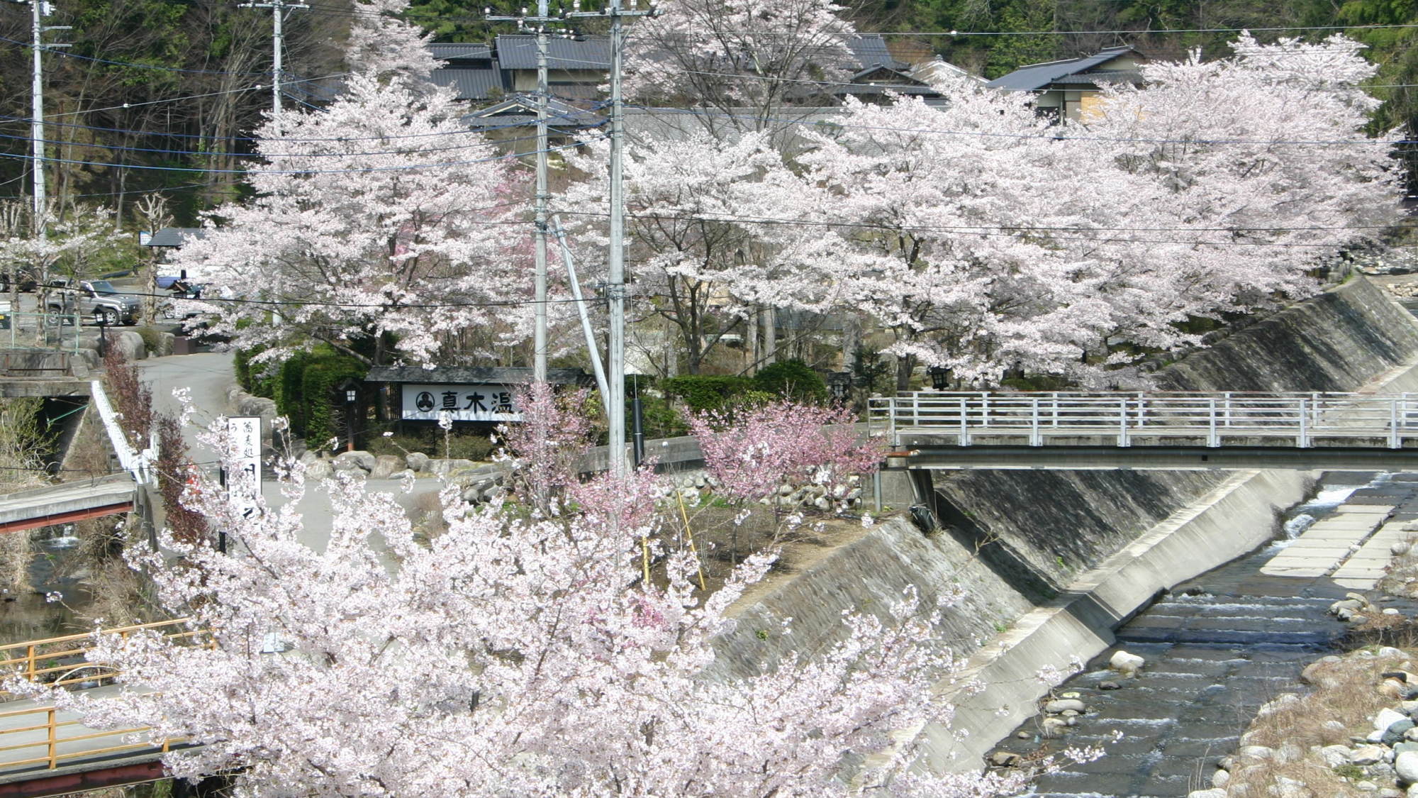 「桜の宿」と呼ばれる由縁（例年4月10日前後が見頃）